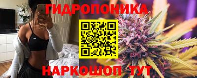 гашик Канаш