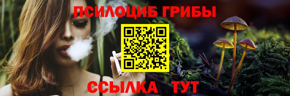 Курчалой  Галлюциногенные грибы Psilocybine cubensis  Псилоцибиновые грибы Magic Shrooms  Вход с VPN 